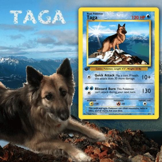 Pokemon Pet and Trainer Customized Cards is a Thing Now