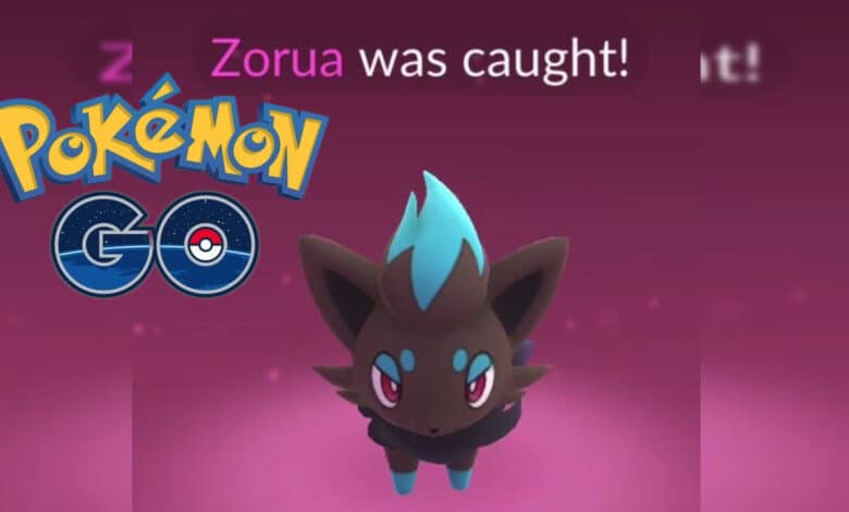 How to get Shiny Zorua in Pokémon GO